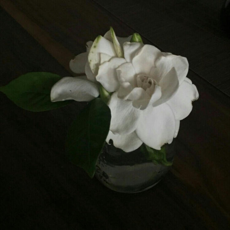 落合扶树（饰 水岛） - 热门美剧全集在线观看 - 云端看剧